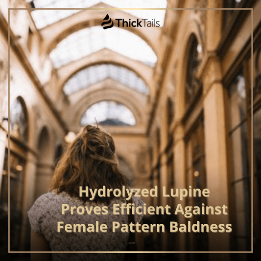 Hydrolyzed Lupine Proves Efficient Against Female Pattern Baldness | ThickTails